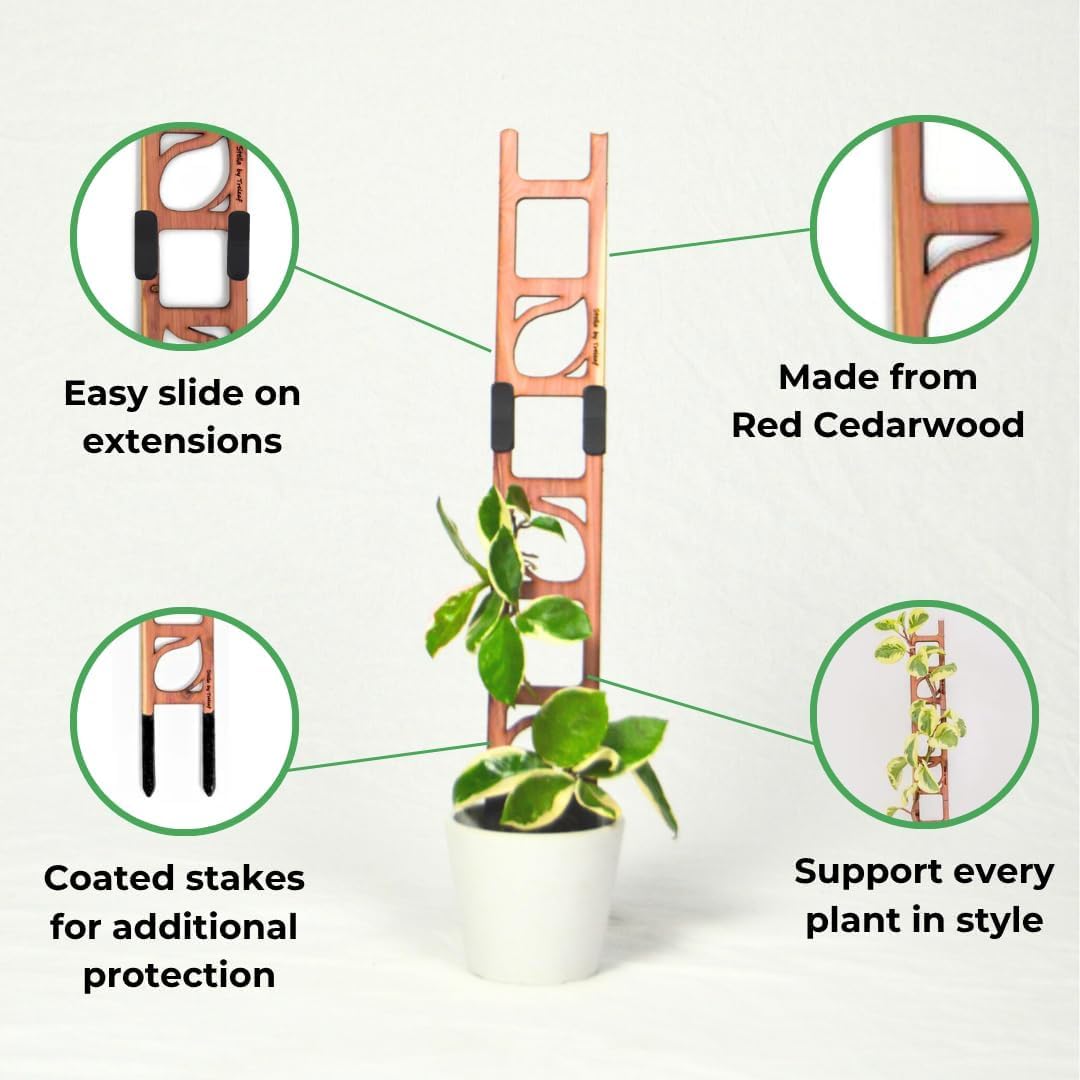 Amazon.com: Treleaf Stella Extendable Ladder Trellis - Wooden